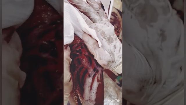 Lion Tattoo#youtubestatus #youtubeshorts