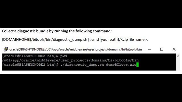 Steps for collecting OBIEE 12c diagnostic bundle смотреть онлайн