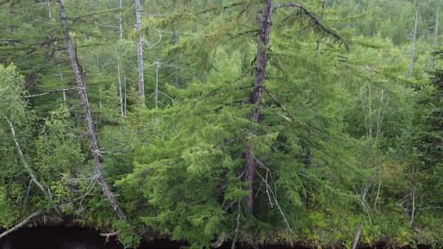 Север. Кижуч. Отдыхаем и рыбачим. смотреть онлайн