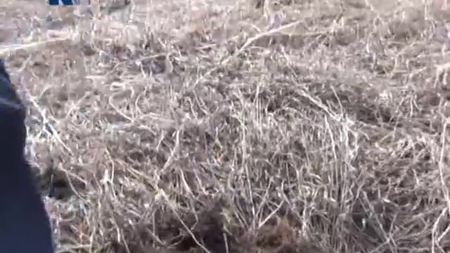 Клады смотреть онлайн