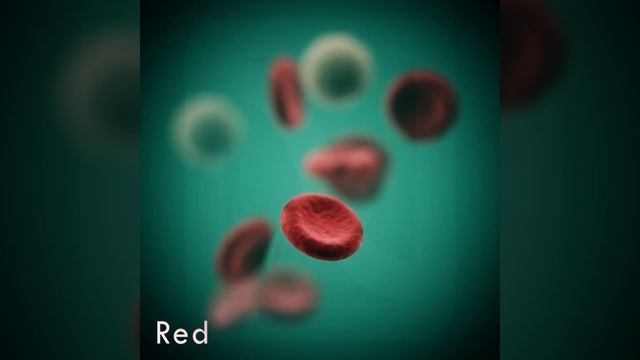 Nodevember 2021 | Compilation смотреть онлайн