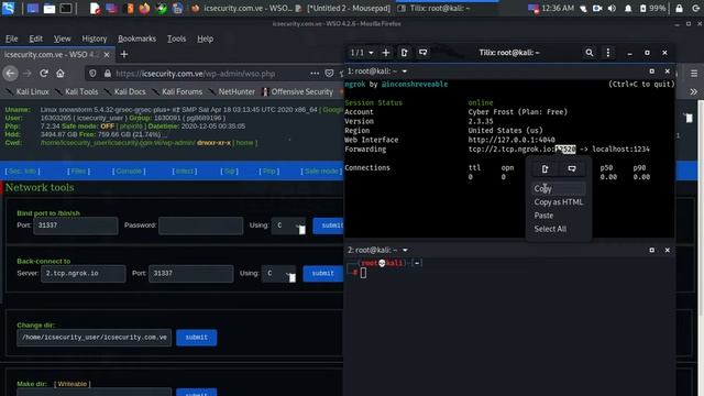 Back Connect Shell смотреть онлайн