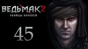 The Witcher 2 / Ведьмак 2 - Лок Муинне - Прохождение игры на русском [#45] | PC (2017 г.)