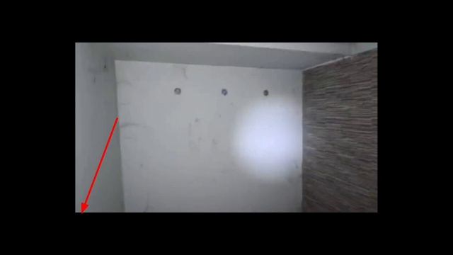 Gray Wolf And Simply Sarath's Ghost Video Exposes The Truth! смотреть онлайн