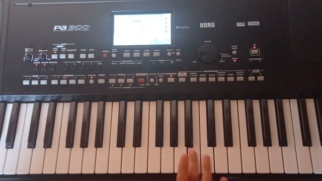 KORG PA 300 Mesti xumar смотреть онлайн