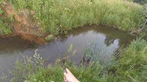 Рыбалка на микроречке