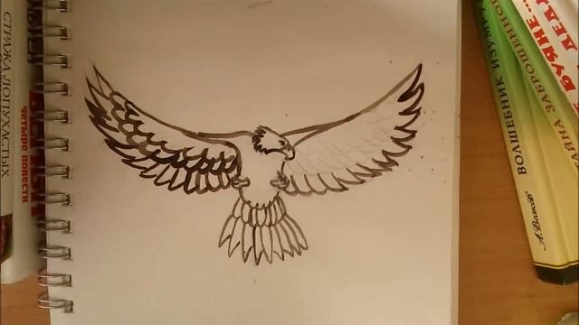 Как нарисовать орла смотреть онлайн