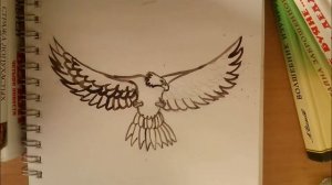 Как нарисовать орла
