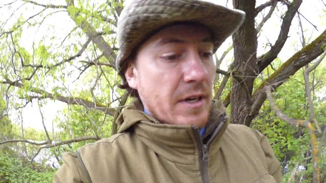 Скворец 170502 7 в естДупле ивы, Дроздятня 10 смотреть онлайн