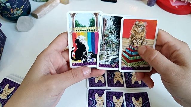 4 короля. Чувства, мысли, действия смотреть онлайн