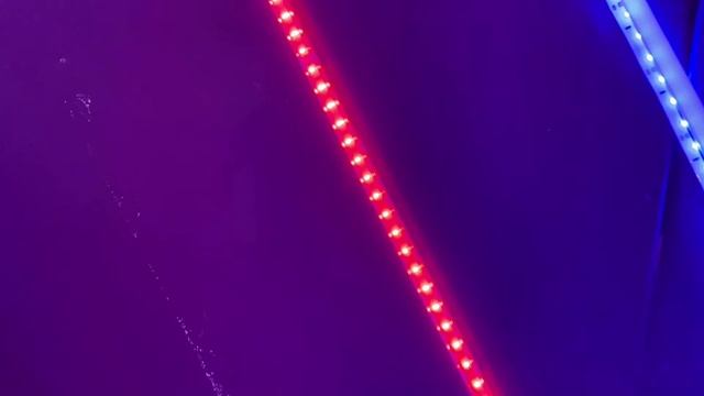 Фотостудия г.Пятигорск смотреть онлайн