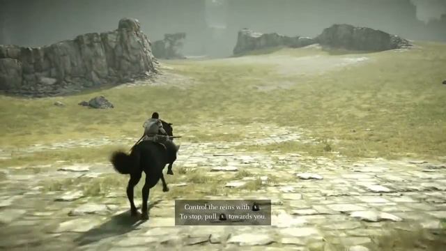 Cutscenes and monkey cheeks |Shadows of the colossus смотреть онлайн