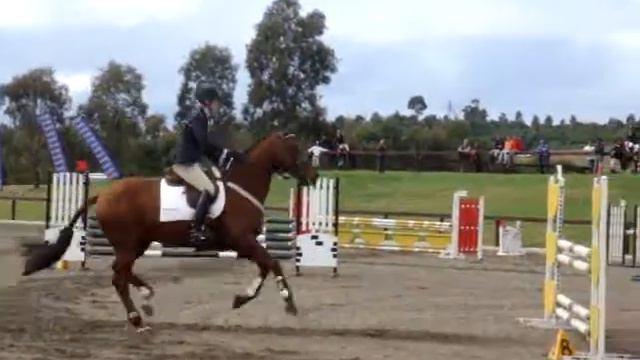 Georgina Clifford on Kolora Stud Falkrich II смотреть онлайн