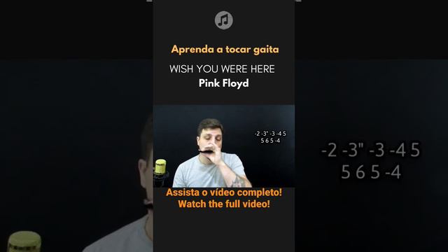 Wish You Were Here - Pink Floyd (Harmonica Tab - Tablatura de Gaita) смотреть онлайн
