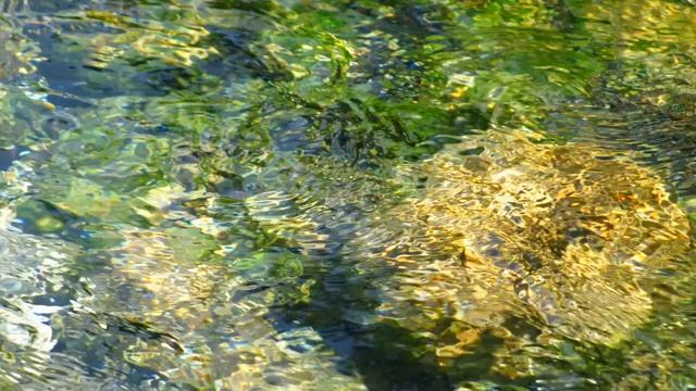 Вода струится по камням под аккомпанемент. смотреть онлайн