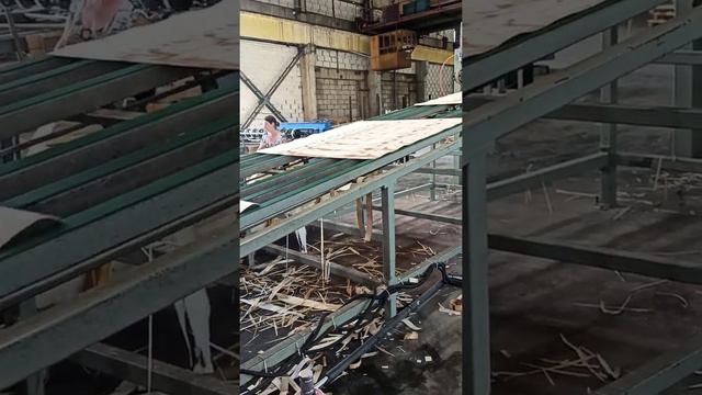 Лущение березового шпона смотреть онлайн