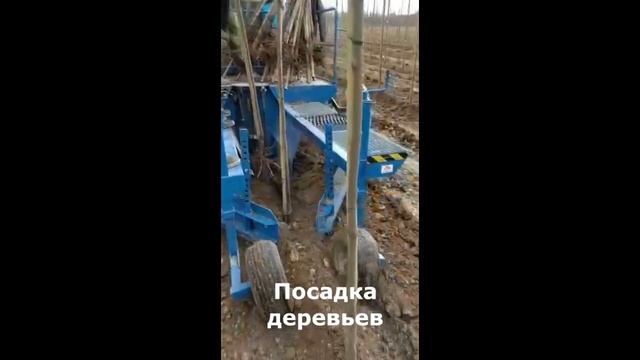 Питомник Вашутино: посадка деревьев смотреть онлайн