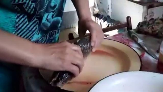 Фаршированный сазан/Рецепт от моей мамы смотреть онлайн