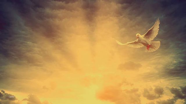 432Hz Miracle Inner Peace | Buddhist Meditation Music | Inner Harmony | Relaxing Music