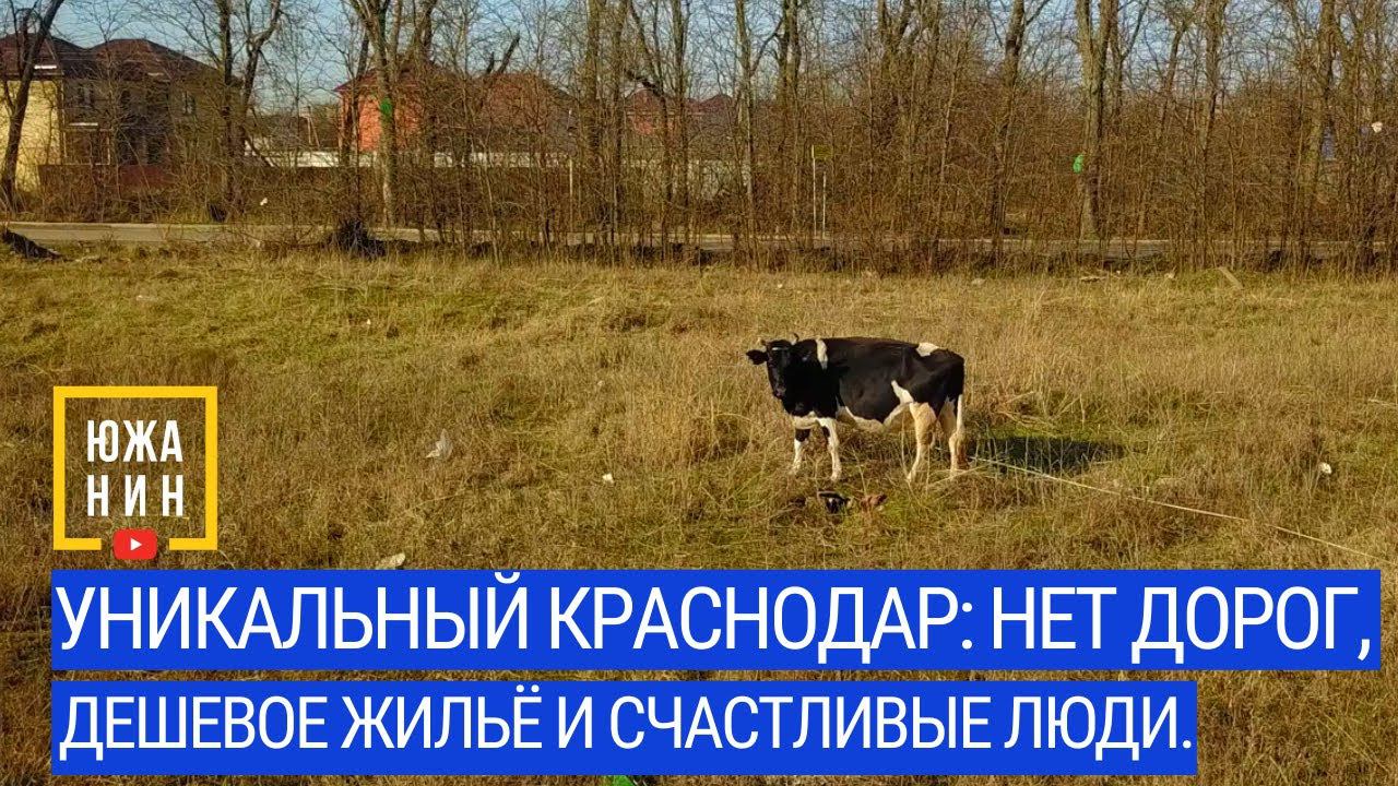 Уникальный Краснодар: нет дорог, дешевое жильё и счастливые люди. смотреть онлайн