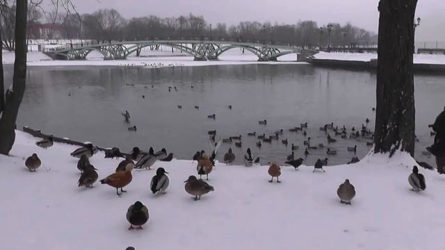 Москва. Основные достопримечательности. Прогулка по городу. Часть 3 смотреть онлайн