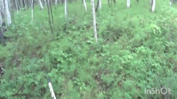 Якутск - Олекминск, р. Олекма август 2023г.