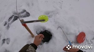 Зимняя рыбалка на жерлицы 2020-2021.Ловля щуки на Каме в Удмуртии ,отдых на базе,много щуки на флаг