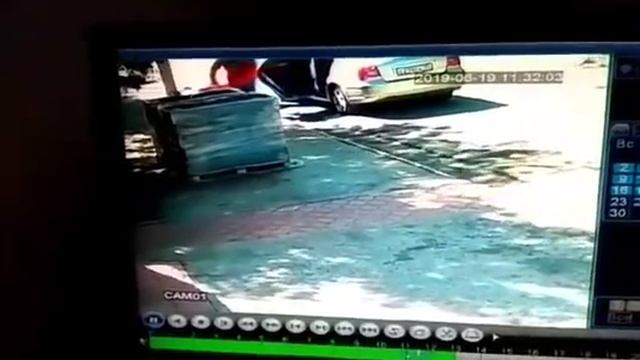 Мужчина выбросил кота в переноске на помойку смотреть онлайн