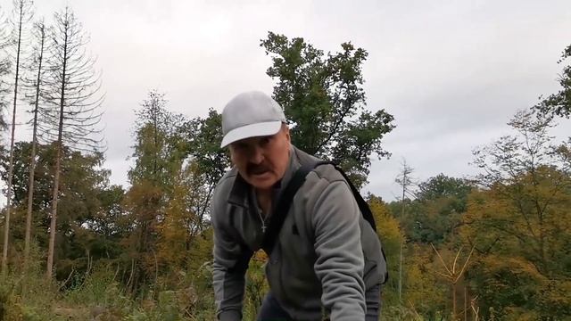 Собираем опята. 05- 06 октября 2020. смотреть онлайн