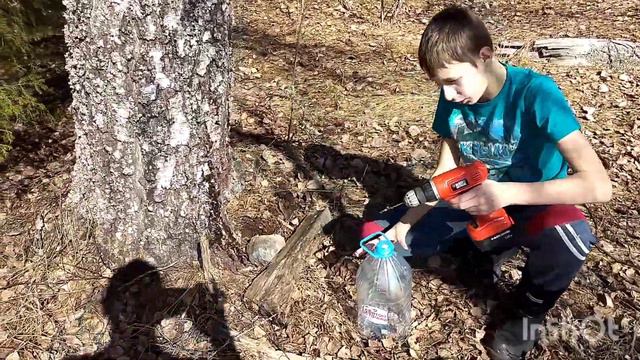 Собираем берёзовый сок в апреле. смотреть онлайн