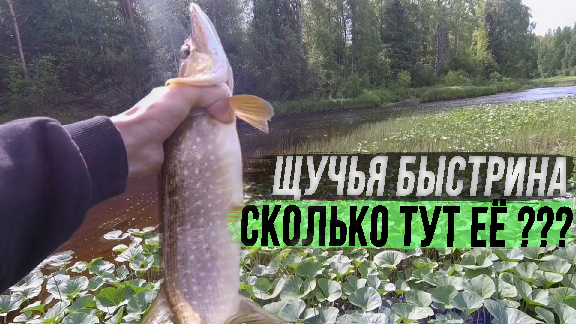 Разбудил щучье логово! Рыбалка на спиннинг. смотреть онлайн