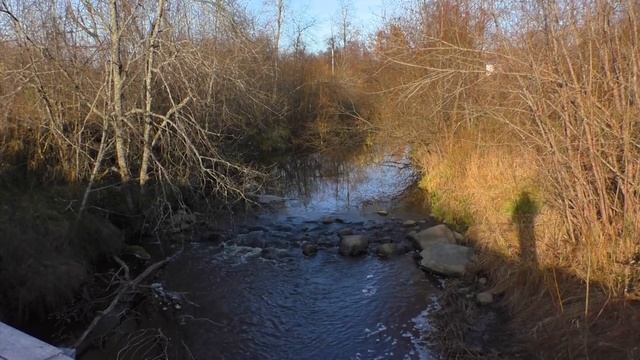 утренняя тишина в монастыре