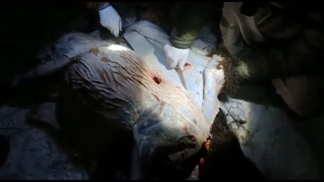 Вести с полей. Ножи из стали US2000 и к340. смотреть онлайн