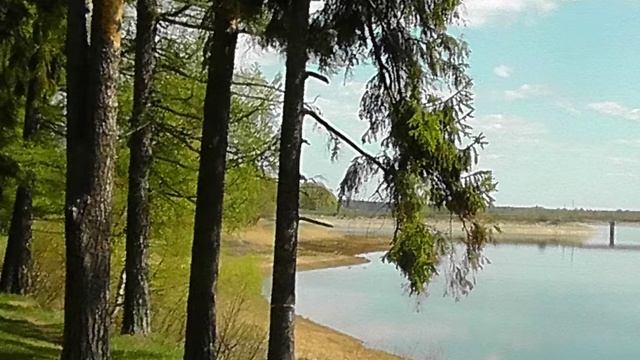 Энергетическая зарядка. 15 минут в день. Начни сейчас и хаос быстро уйдет из твоей жизни навсегда