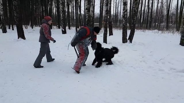 РЧТ Ружа,1,4года, первый пуск)
