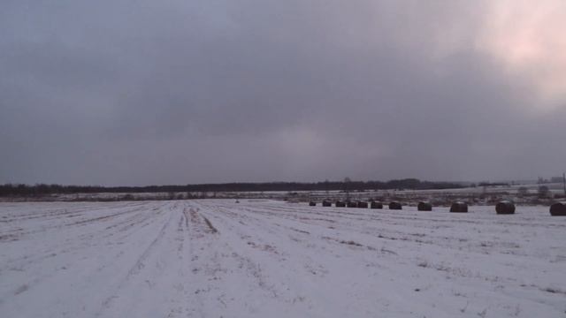 Охота на зайца ! 18.12.20г. Самый быстрый заяц за всю практику ... смотреть онлайн