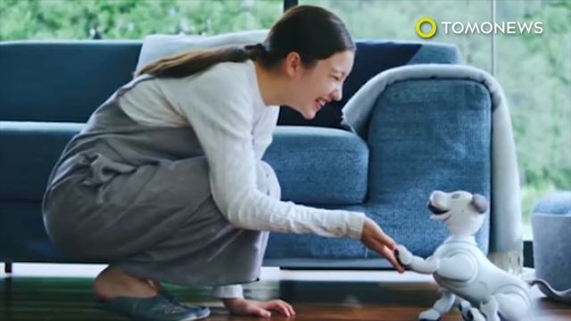 Robo-cat fitted with prosthetic paws; Robot shark ‘GhostSwimmer’ developed by U.S. Navy -Compilatio смотреть онлайн
