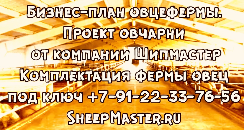 Проект Фермы Овец Овцеводческой Проектирование овчарни Проекты Овцеферм под ключ 89122337656 смотреть онлайн