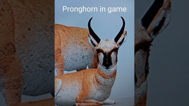 Roblox Cenozoic Survival animals in game VS. reality смотреть онлайн
