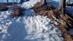 Скаут Сафари-3  С уменьшенной ведущей звездой, на пром валу, по горам.