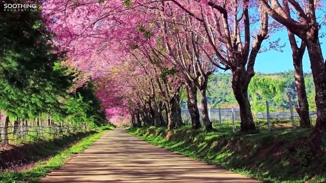 Музыка Для Утра И Хорошего Настроения Музыка Для Релаксации медитации Background Music Morning Rela