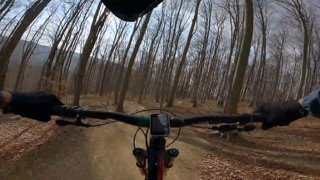 HWW Trailcenter Wien New Season Opening ⛄ 2022 | MTB VLOG ?️ #70 | Radon Swoop