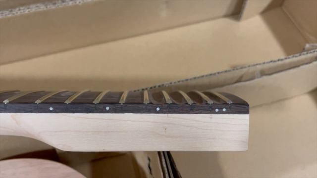 My BYO Guitar Ibanez "Woody" JEM Replica Project - Part 1 смотреть онлайн