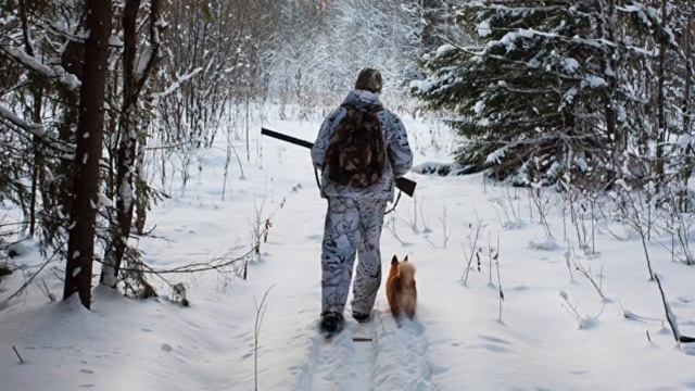 Диктант Заяц смотреть онлайн