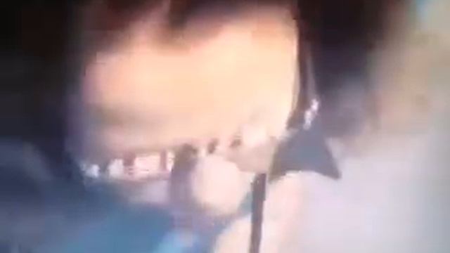 Песня про Гнездилова "Я сейчас смешной, небритый и пьяный на всех экранах." смотреть онлайн