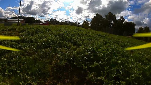 Fpv Freestyle / DJI FPV