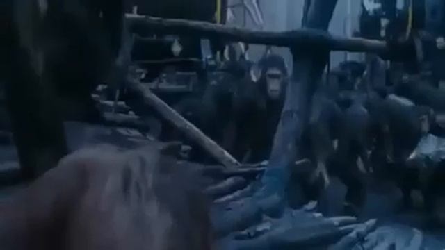 planeta dos macacos dublado смотреть онлайн
