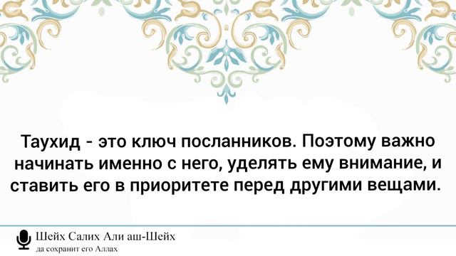 146) Являются ли средства призыва к Аллаху таукыфийя или они иджтихадийя? | Ответ Муфтия Саудии смотреть онлайн