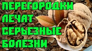 9 Серьёзных болезней Лечат перегородки Грецких орехов.mp4