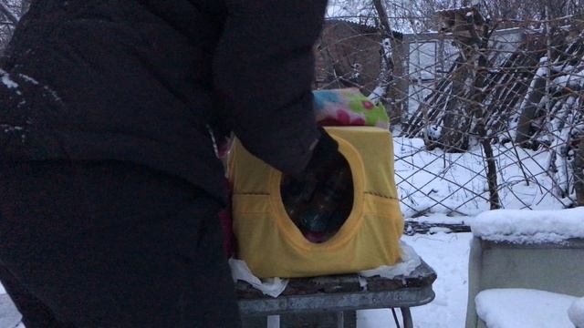 Домик для кошки за 5 минут. Плюс временное отопление домика смотреть онлайн